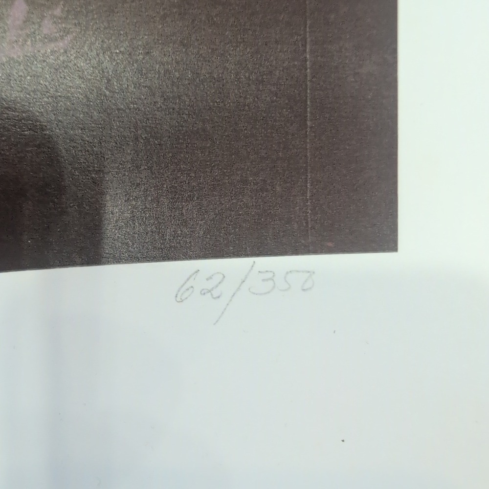 Sonia Torres Limited Edition,‎ Numbered, Signed White Tiger Artist's Print - Picture 6 of 8